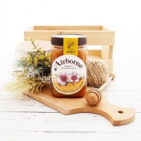 Airborne Manuka Honey with Wildflower Blend Honey 500g 