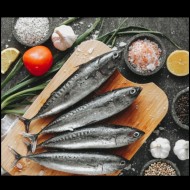 Ikan Tongkol Frozen 450 gr