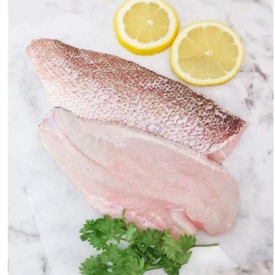 Ikan Kakap merah fillet Frozen 500 gr