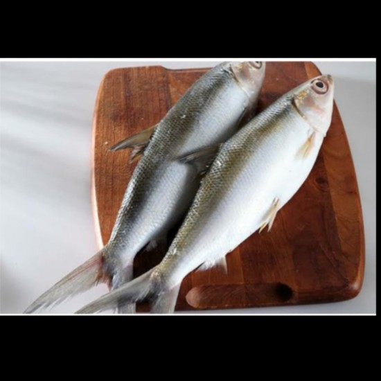 ikan bandeng frozen 500gr