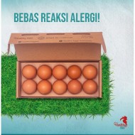 Telur Healthy Egg Hypoallergenic 10pc