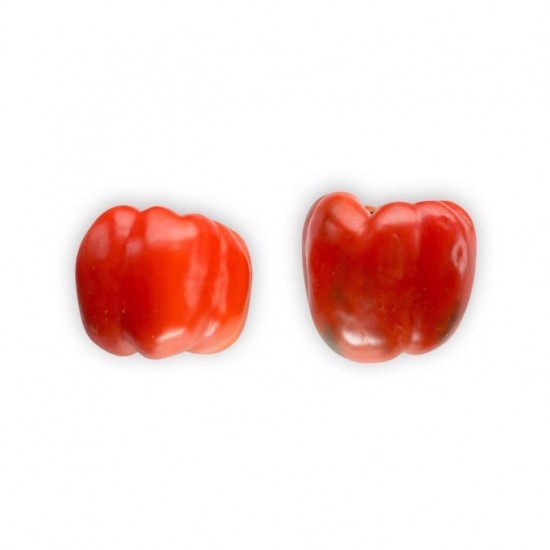 Paprika Merah Organik Satuan (1pc)
