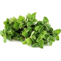 Oregano Organik 50gr