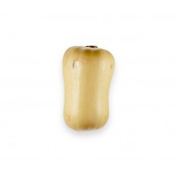 Labu Butternut Organik 1kg