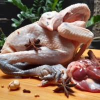 Ayam Kampung Organik Berkah Utuh 700-800 gr
