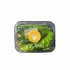Paket Sayur Lodeh Organik