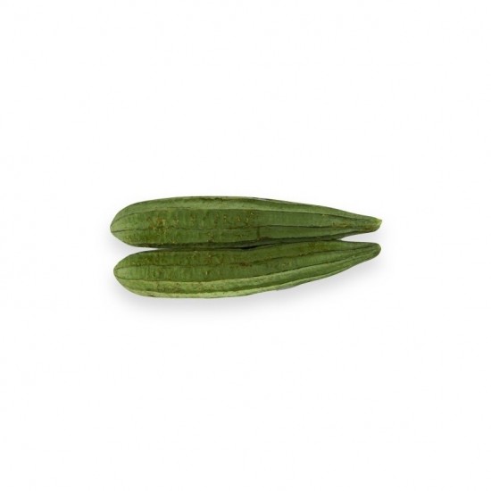 Oyong Organik 500gr