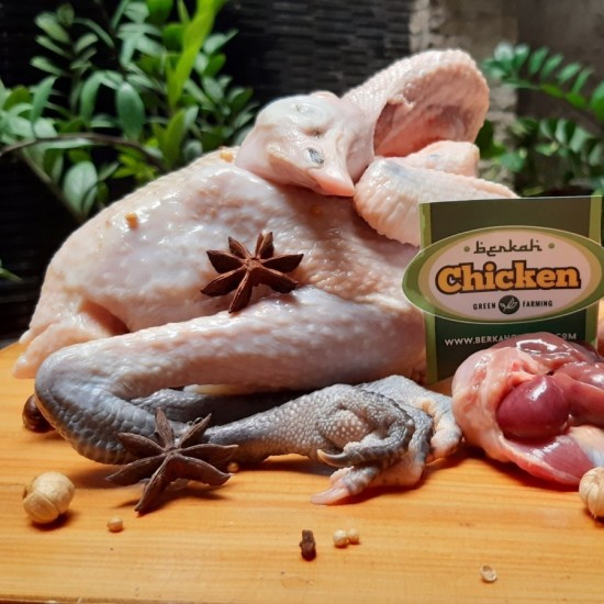 Ayam Kampung Organik Berkah Utuh 900-1000 gr