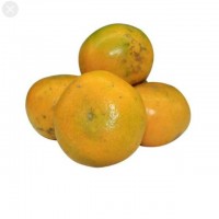 Jeruk Medan 1kg