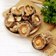 Dried Shitake Mushroom / Jamur Shitake / Hokio 100gr